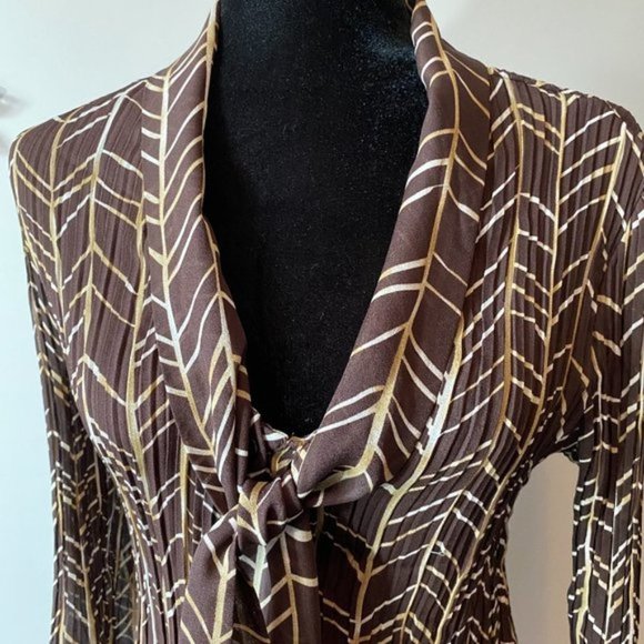 Brown Sheer Flare Blouse - Picture 2 of 7